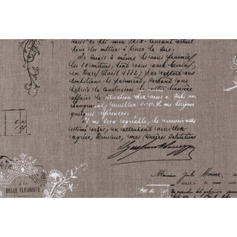 Портьерная ткань для штор Manuscrit 001 Lin